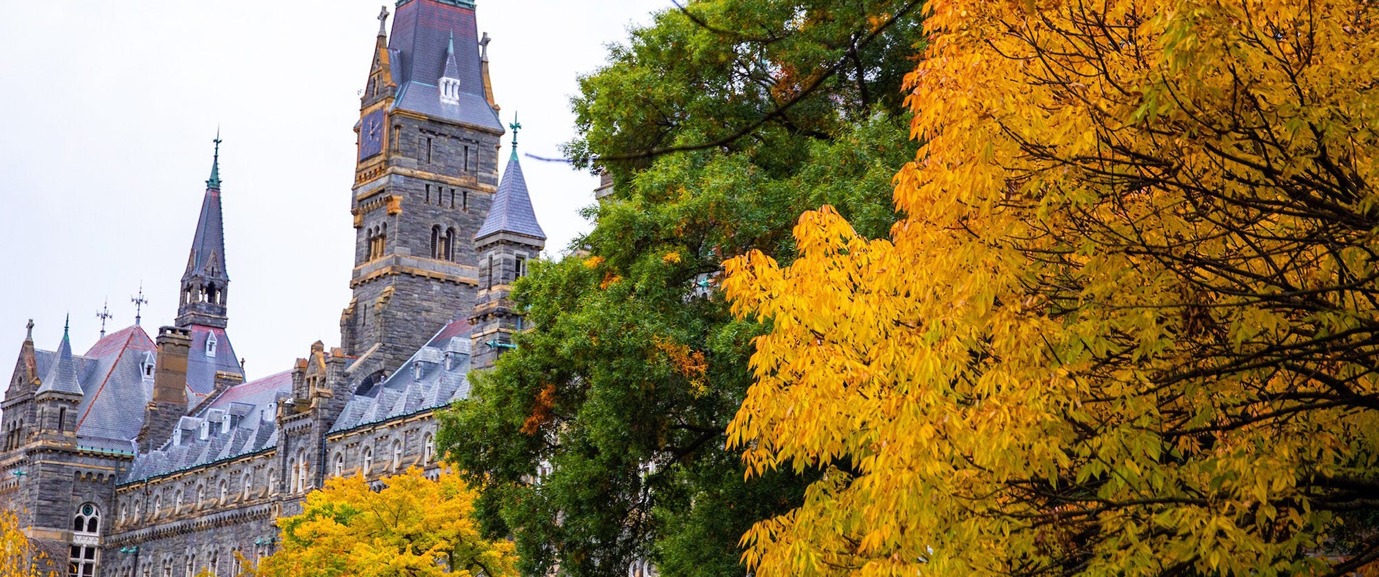 An autumnal scene with vibrant yellow leaves in the foreground framing the view of a historic stone building.