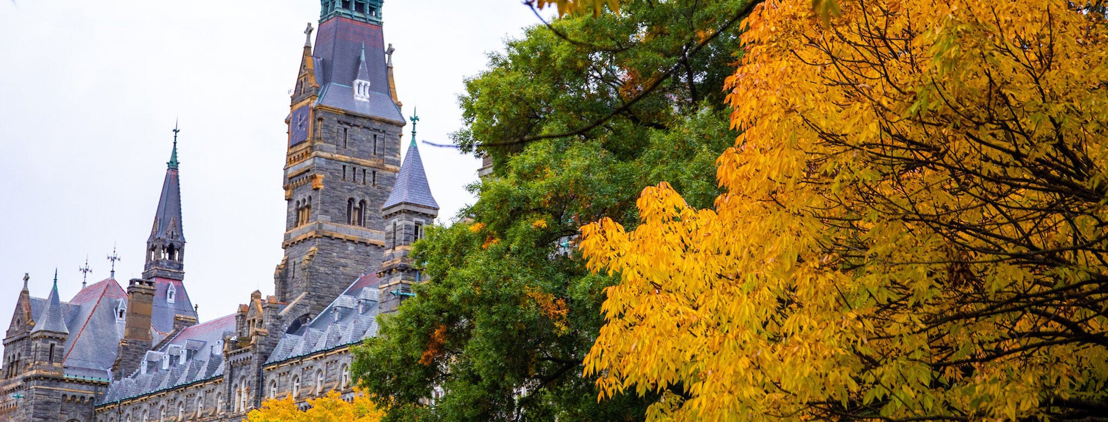 An autumnal scene with vibrant yellow leaves in the foreground framing the view of a historic stone building.